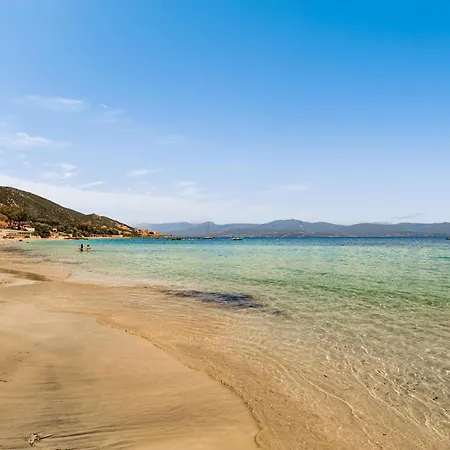 Apartment Cozy In With Wifi